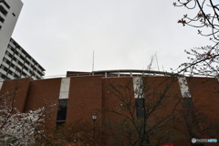 DSA_1097