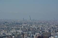 DC8_2558