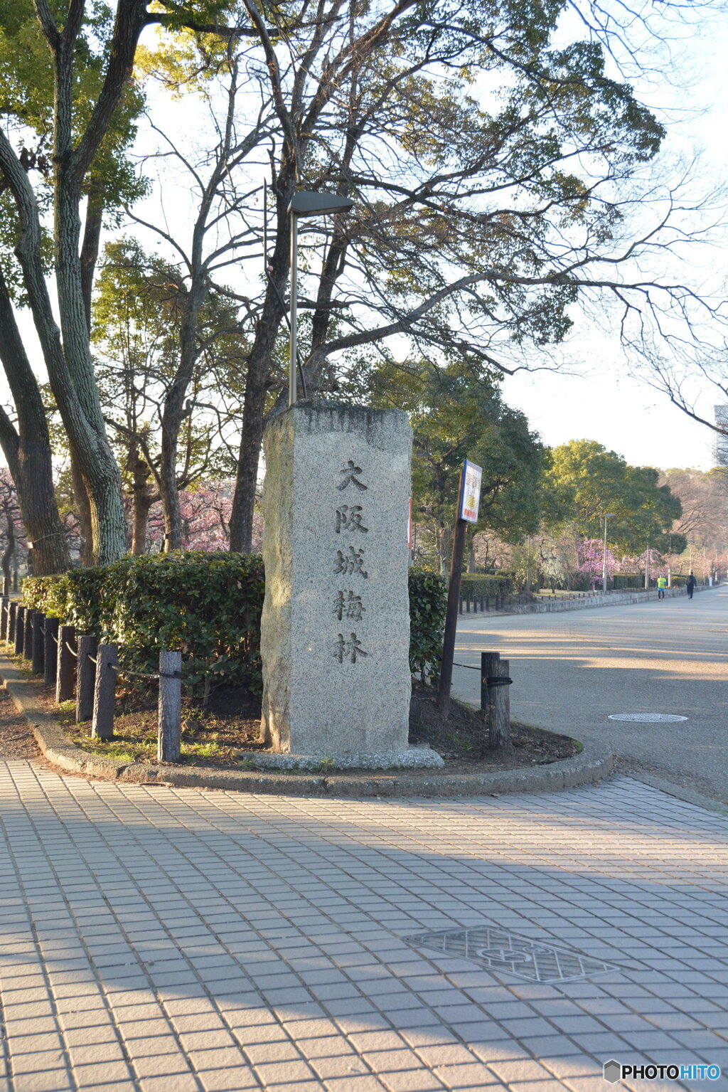 DC8_8168