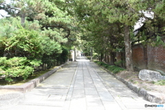 DSA_1347