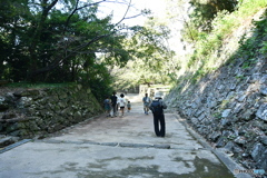DSA_2803
