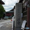 DS7_8817