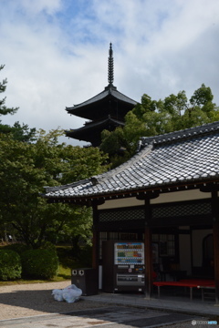 DS7_6357