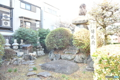 DSA_3394