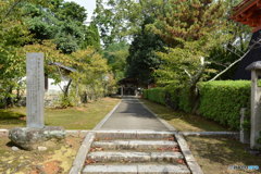 DS7_6361