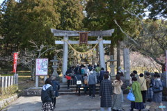 DS7_9879