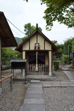 DS7_6154