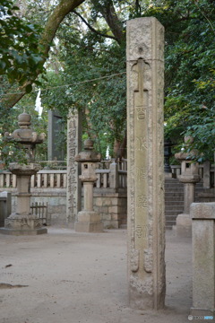 DS7_4400