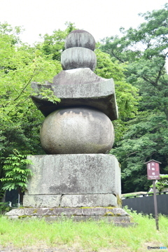 DSA_1916
