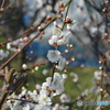 DS7_9778