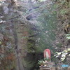 DS7_5787