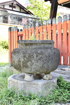 DSA_2279