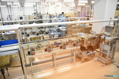 DSA_3504