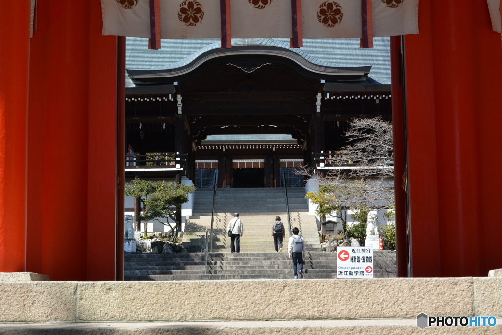 DS7_7694