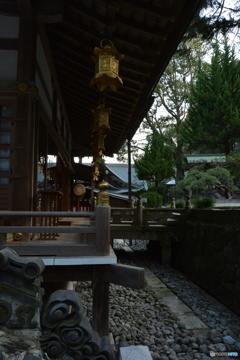 DS7_9761