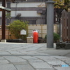 DS7_9827