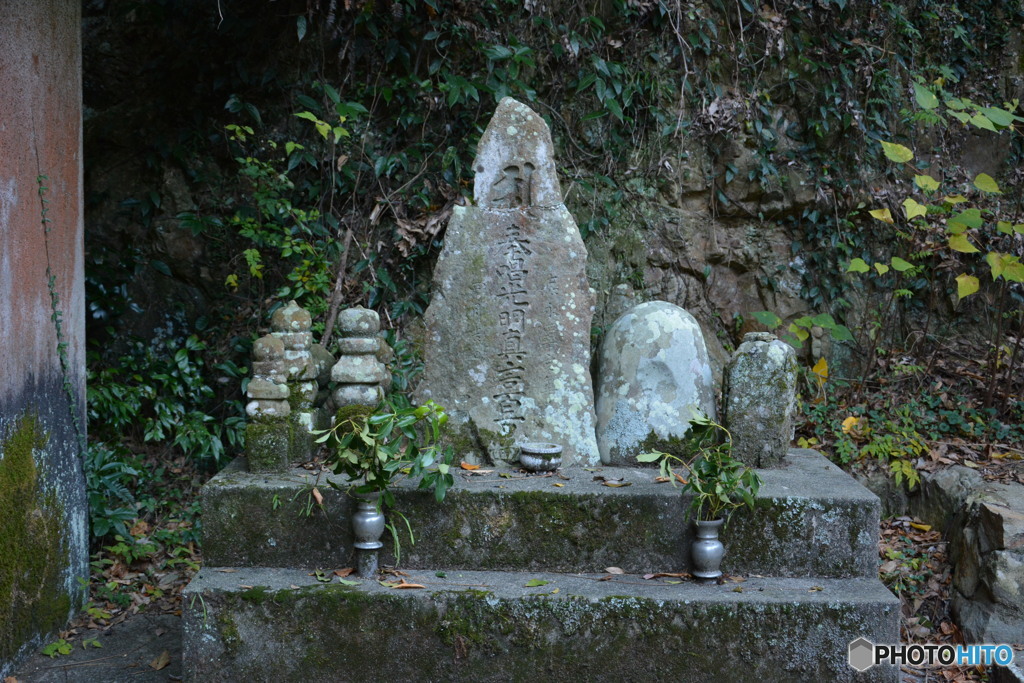 DS7_7145