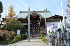 DS7_4505