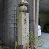 DS7_6638