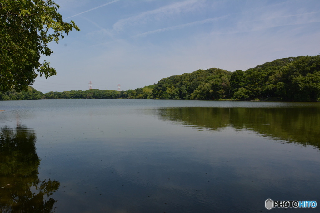 DS7_3165