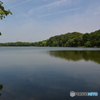 DS7_3165