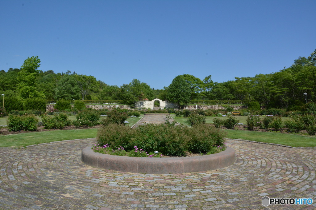 DS7_8183