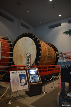 DC8_8793