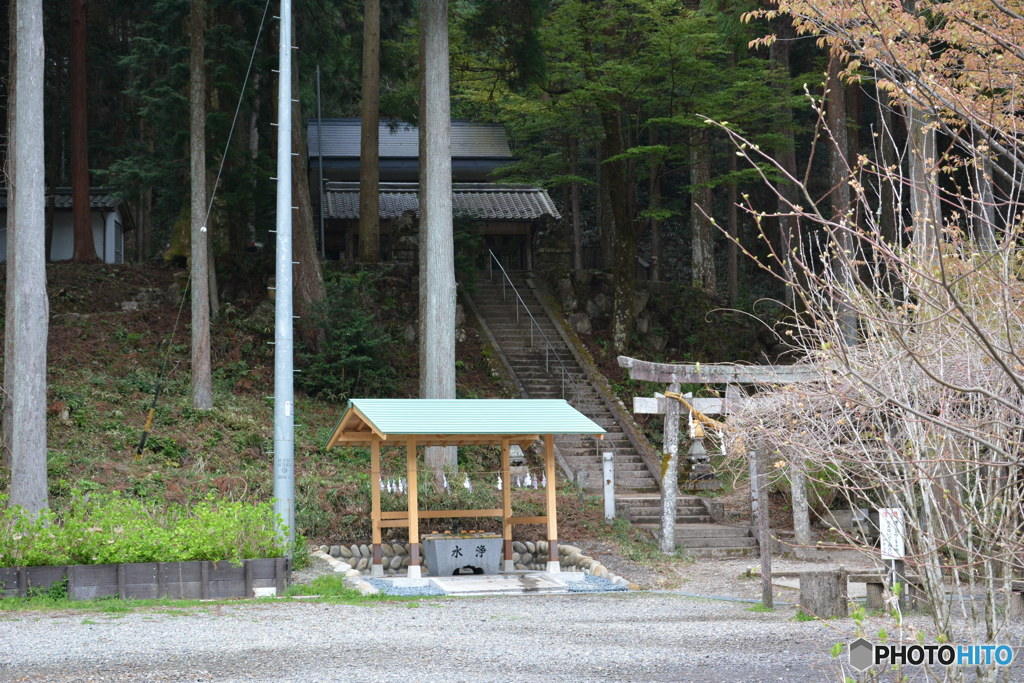 DS7_7957