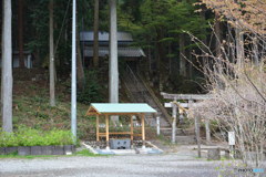 DS7_7957