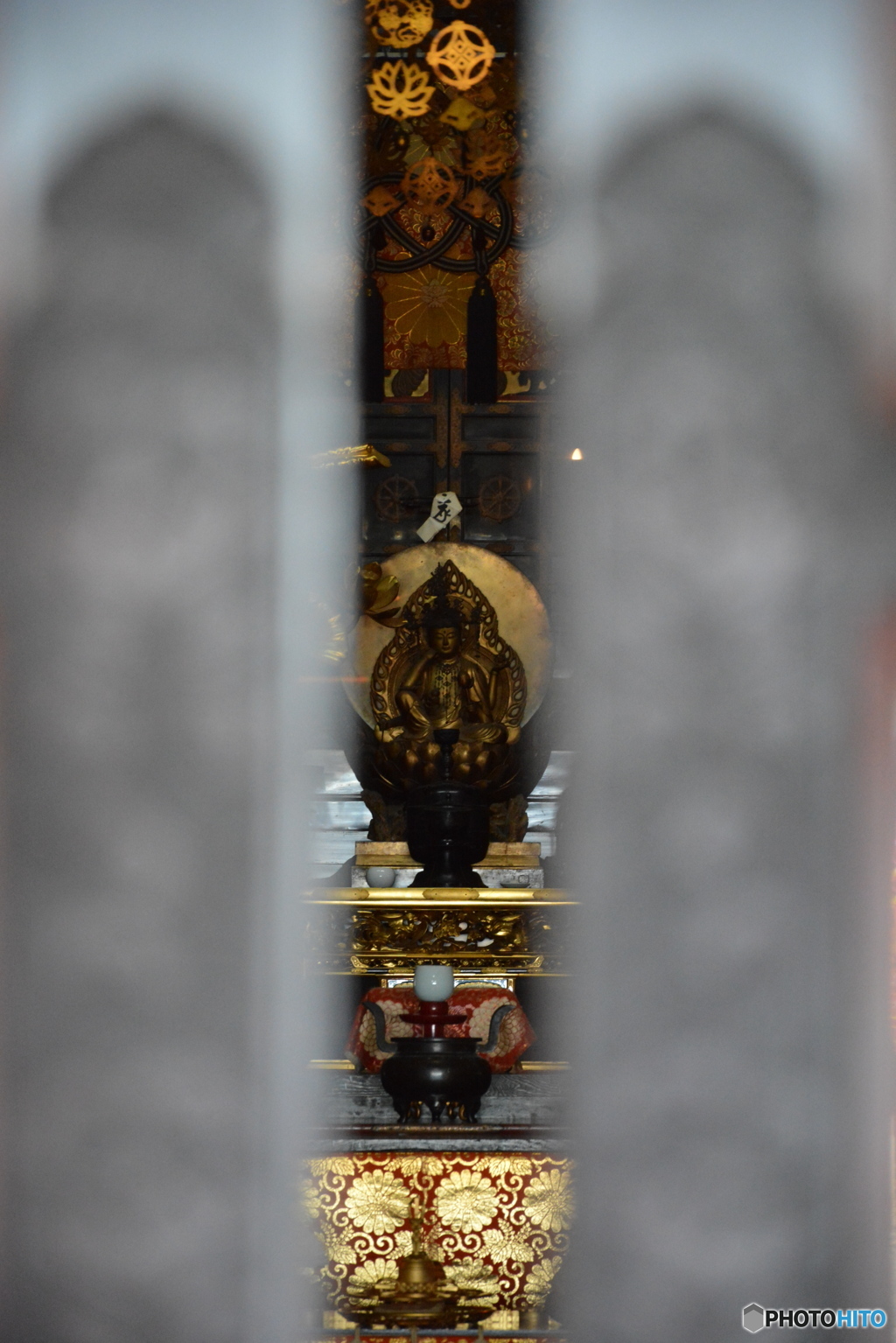DS7_7609