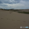 DS7_3802