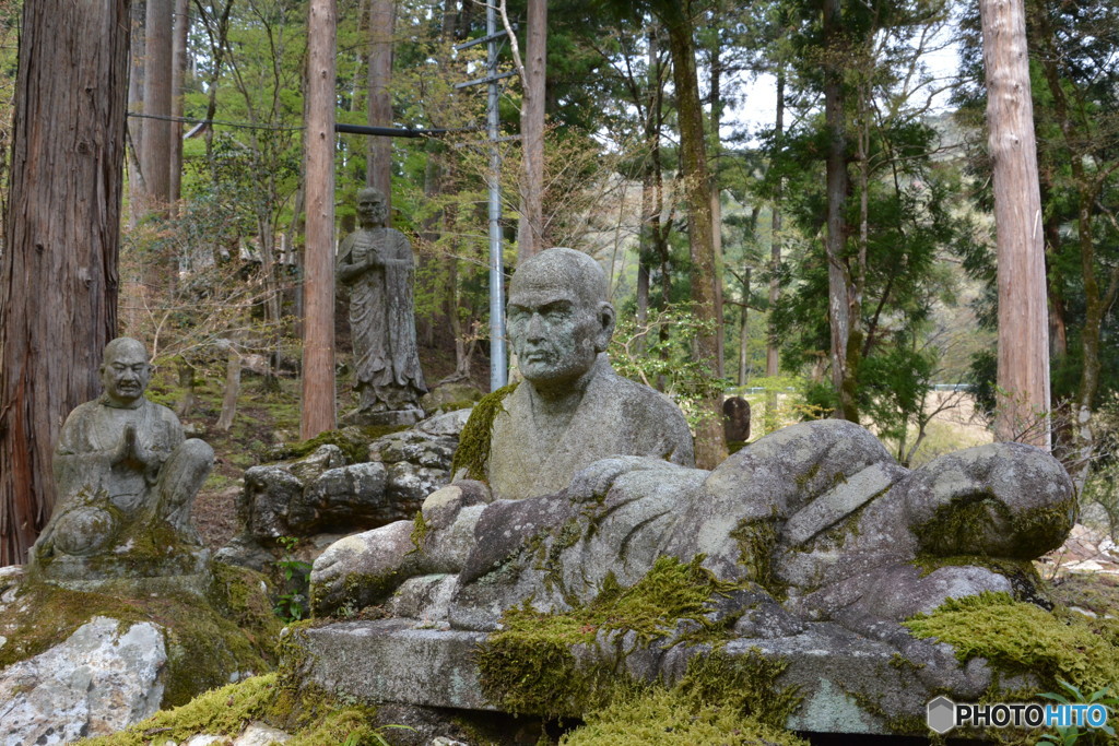 DS7_7907