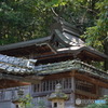 DS7_3591