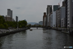 DS7_5474