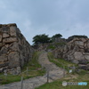 DS7_6113