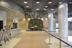 DC8_8285