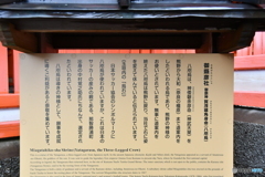DSA_2202