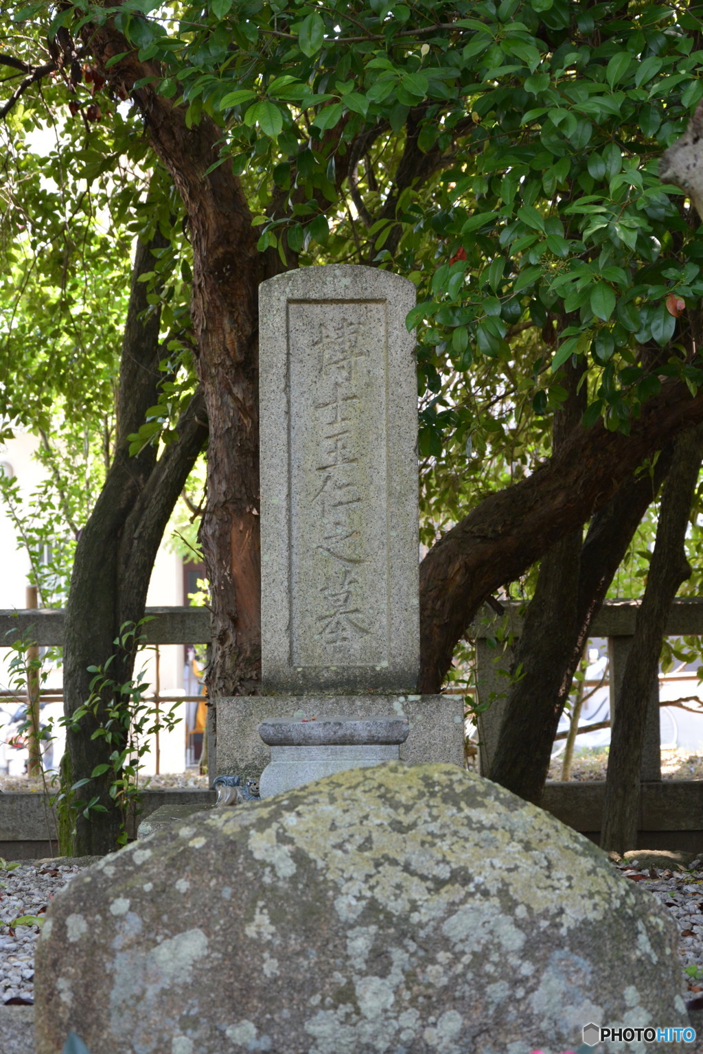 DS7_8738