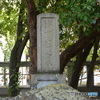 DS7_8738