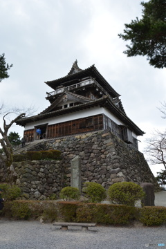 DS7_5053