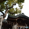 DS7_9804
