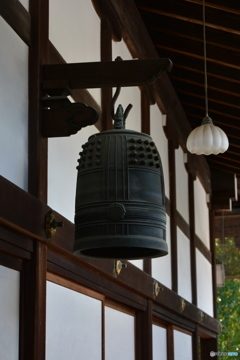 DS7_6505