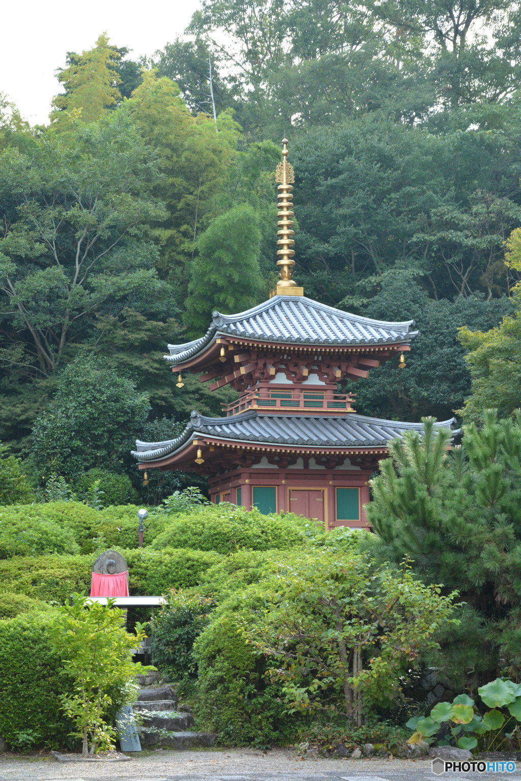 DS7_9005