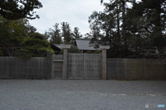 DS7_9689