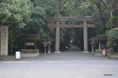 DS7_8988
