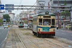 DS7_8392