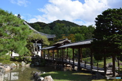 DS7_6501