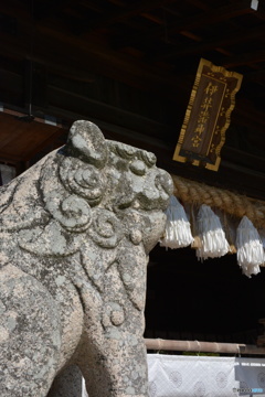 DS7_7114
