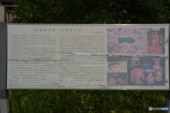 DC8_5265