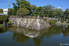DC8_1810